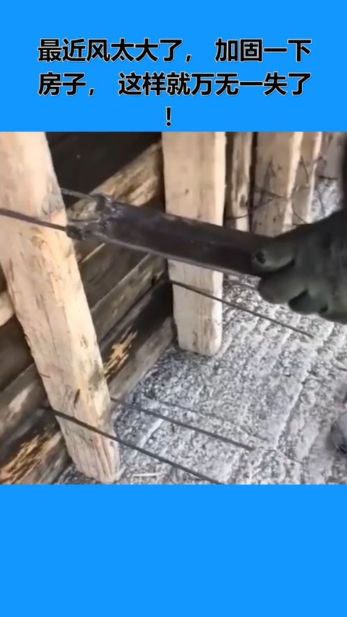 房屋加固指南 抵御强风，构筑安全家园